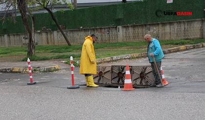 Şanlıurfa'da Sağanağa Karşı Ekipler İş Başında