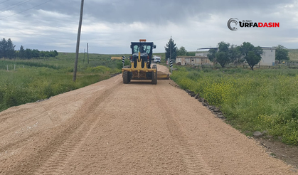 Şanlıurfa’da Kırsal Yol Seferberliği Aralıksız Devam Ediyor