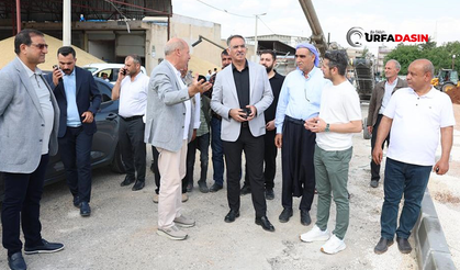 Şanlıurfa'da Buğday Pazarı Yeşil Alana Kavuşuyor