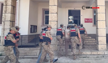 Şanlıurfa'nın Üç İlçesinde Narkotik Operasyon: 5 Gözaltı