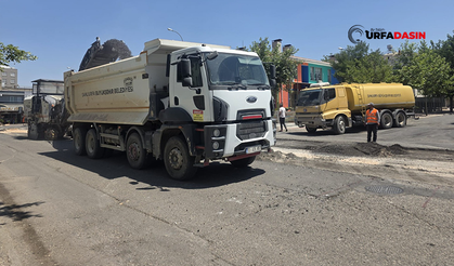 Siverek'in İki Önemli Caddesi Sıcak Asfaltla Yenileniyor