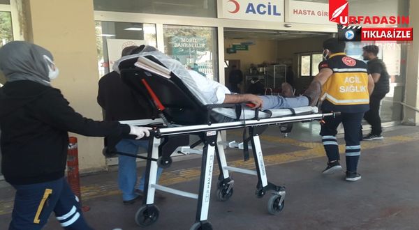 Şanlıurfa'da Bayram Ziyareti Kazayla Sonuçlandı: 6 Yaralı