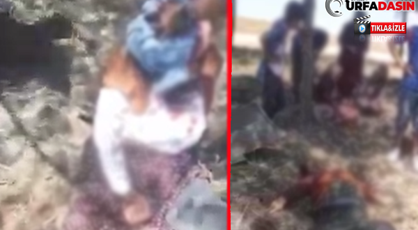 Şanlıurfa'da Feci Kaza Yaralılar Yola Savruldu