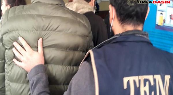 Şanlıurfa'da DEAŞ Operasyonu 1 Gözaltı