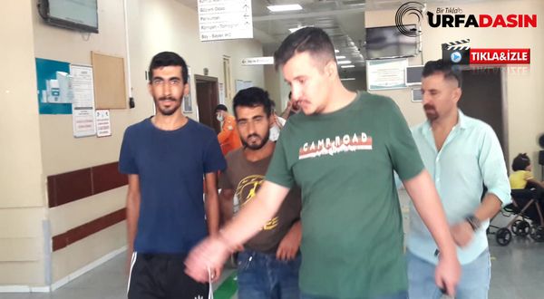 Şanlıurfa'da Hırsızlık Olayına 6 Gözaltı