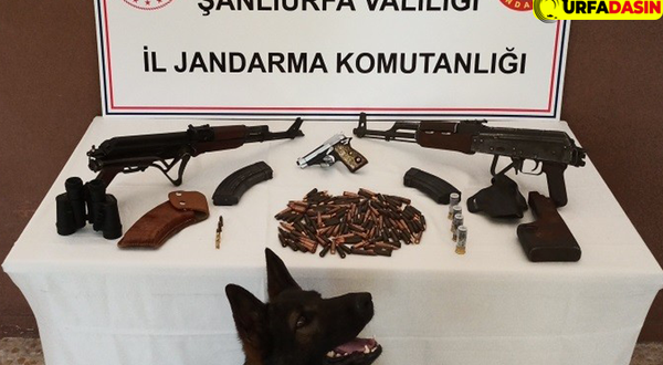 Şanlıurfa’da Silah Kaçakçılığı Operasyonu: 2 Gözaltı