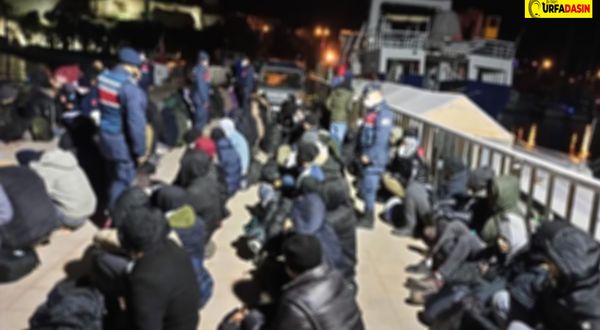 Şanlıurfa'da Barakada 30 Kaçak Göçmen Yakalandı