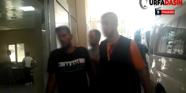 Şanlıurfa'da 12 Kişi Gözaltına Alındı