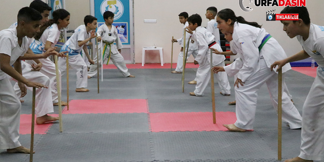 Haliliye’de Gençlerin Adresi Yaz Spor Okulları Oluyor
