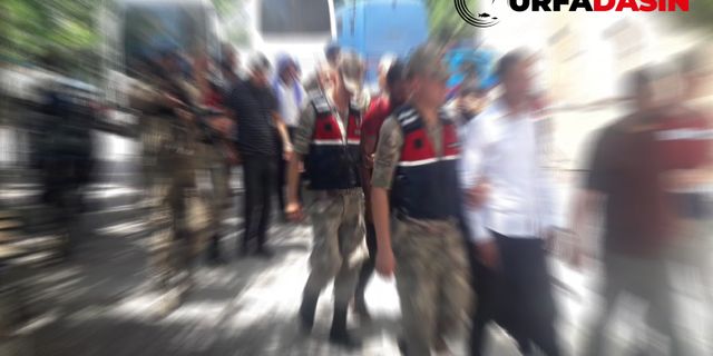 Şanlıurfa'daki Operasyonda 16 Kişi Adliyeye Sevk Edildi