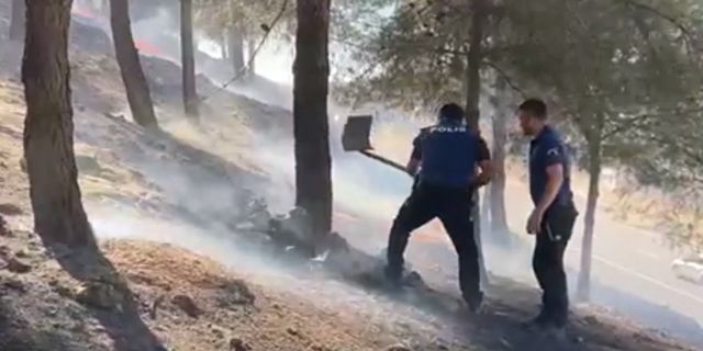 Şanlıurfa'da Orman Yangınını Polisler Söndürdü