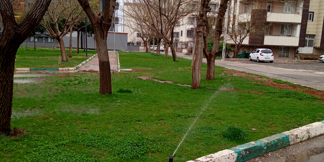 Selin Vurduğu Urfa’da, Belediyeler Parklarda Fıskiye İle Sulama Yapıyor