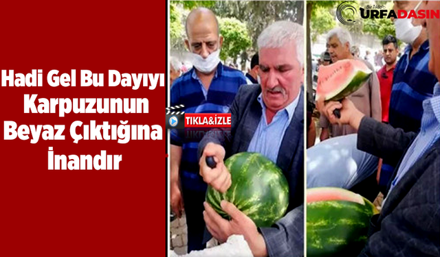 Karpuz Beyaz Çıkarsa Burayı Terk Ederim Demişti Halen Terk Etmedi