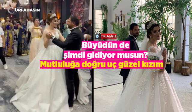 Urfa’da Bir Başka Olur Aşiretin Düğünü