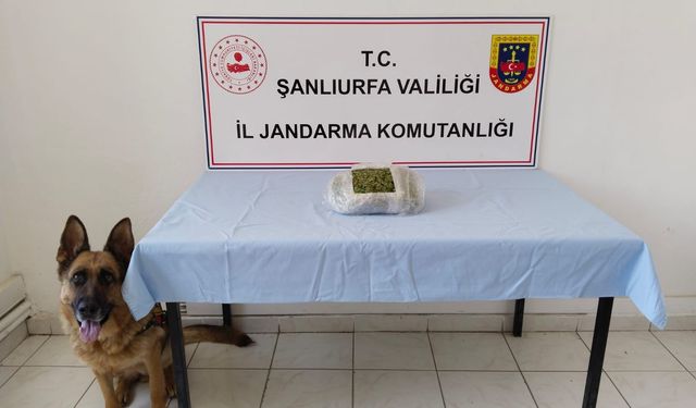 Şanlıurfa’da Uyuşturucu Operasyonu: 5 Gözaltı