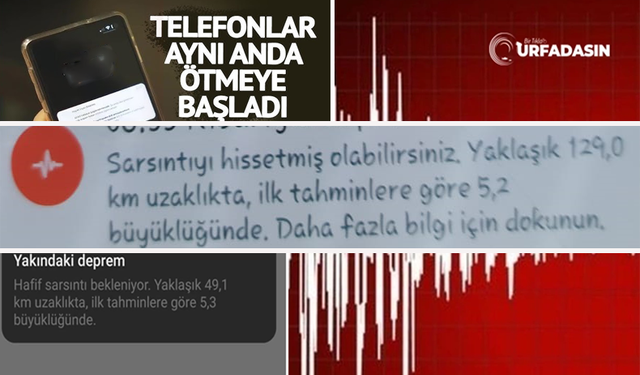 Depremi 15 Saniye Önceden Biliyor, Herkes Cep Telefonuna Yüklüyor