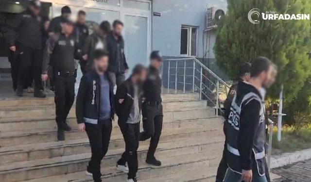 İstanbul Merkezli Dolandırıcılık Operasyonu Urfa'ya Uzandı: 18 Gözaltı