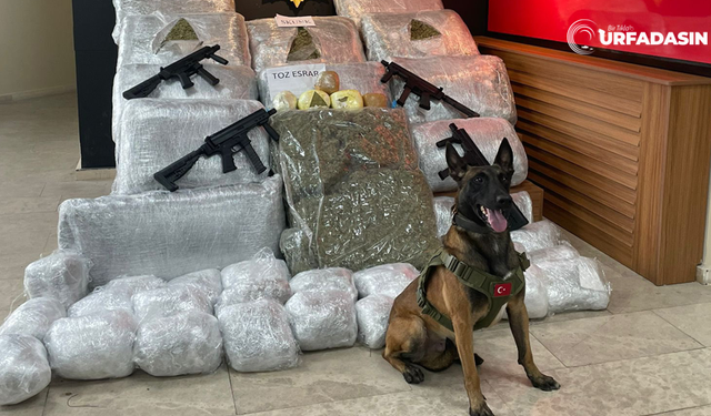Şanlıurfa Dahil 48 İlde Zehir Tacirlerine Operasyon: 6 Tonu Aşkın Uyuşturucu Ele Geçirildi