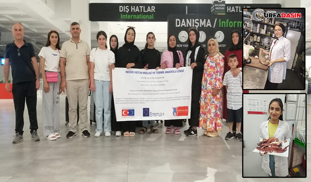 Siverekli Öğrenciler Avrupa Stajlarını Tamamladı