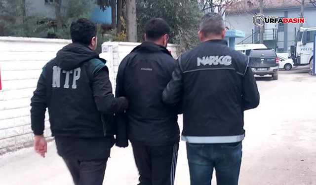 Suruç'ta Uyuşturucu Operasyonu; Çok Sayıda Gözaltı Var