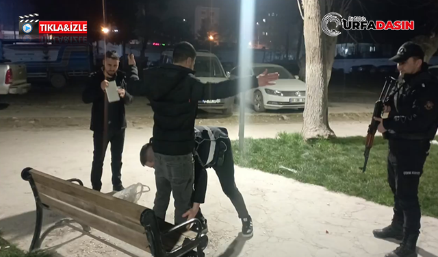 Şanlıurfa’da Aranan 11 Şahıs, Polis Uygulamasında Yakalandı