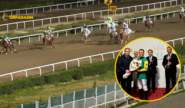 Şanlıurfa'da Atlar Valilik Kupası İçin Koştu
