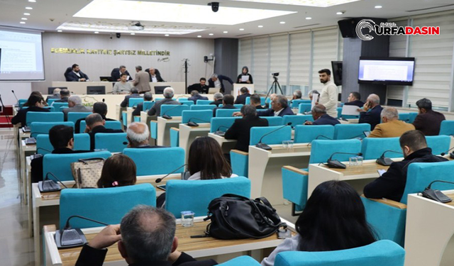 Şanlıurfa Büyükşehir Belediye Meclis Başkanvekilliği Seçimi Kör Düğüm