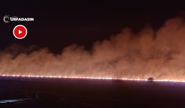 Harran'da Anız Yakan Çiftçilere Para Cezası da Kâr Etmiyor