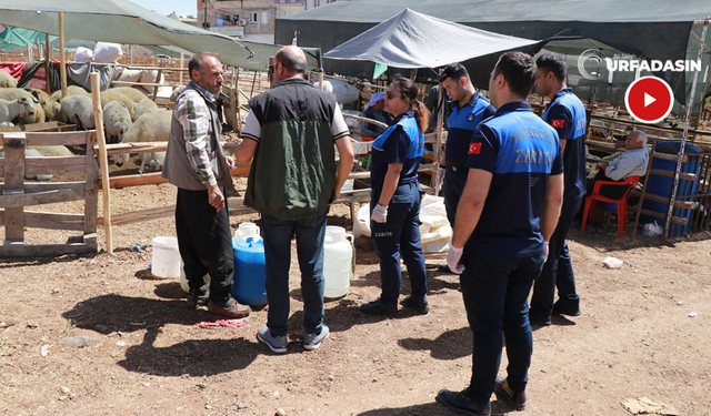 Haliliye’de Kurban Bayramı Öncesi Kapsamlı Denetimler Sürüyor