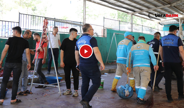 Haliliye'de Kurban Kesim Yerlerinden Manzaralar