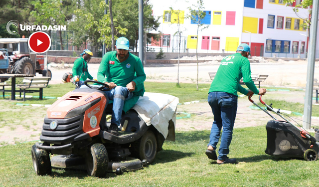 Haliliye’deki 6 Parkta Peyzaj Çalışması