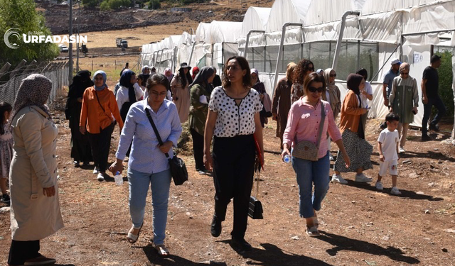 Siverek’te girişimci kadınlara gıda ve tarım teknik eğitimleri verildi