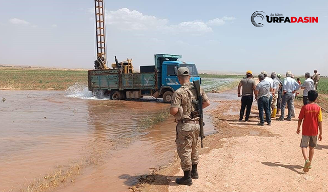 Şanlıurfa'da Trajikomik Olay, Taban Suyu Seviyesini Ölçeceklerdi Bakın Ne Oldu