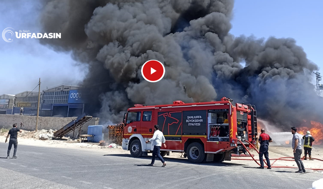 Urfa'da Kağıt Fabrikasında Yangın