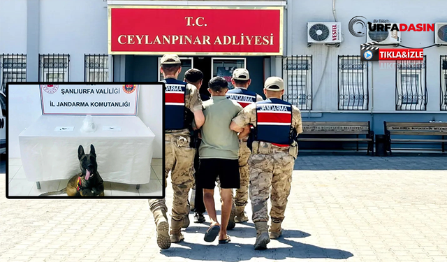 Ceylanpınar’da Uyuşturucu Operasyonu: 2 Zanlıya Gözaltı