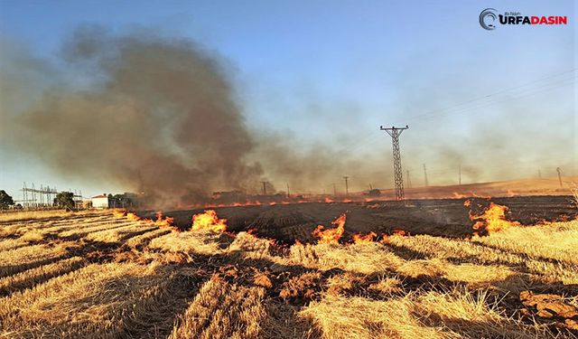 Şanlıurfa’da 16 Mahalle Elektriksiz Kaldı