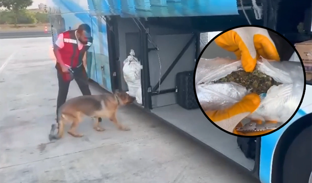 Narkotik Köpeği "Sebat" Yolcunun Valizindeki Uyuşturucuyu Böyle Buldu