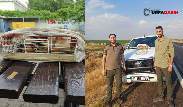 Şanlıurfa'da Kaçak Avlanan Kişiye Para Cezası