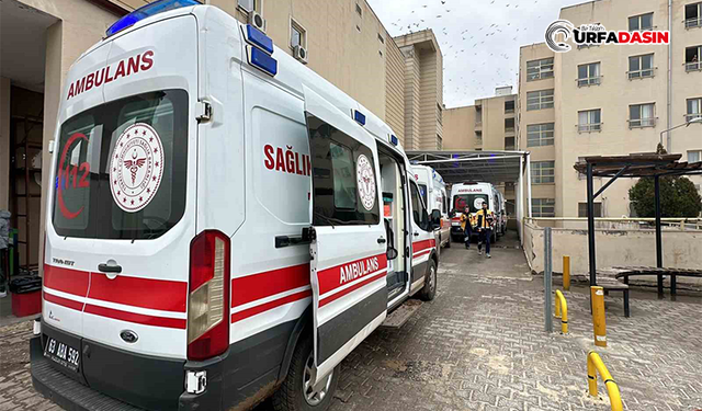 Şanlıurfa'da  Otomobil Şarampole Devrildi: 3 Yaralı