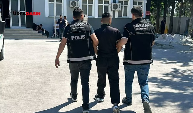 Şanlıurfa'da 4 Uyuşturucu Tacirine Tutuklama