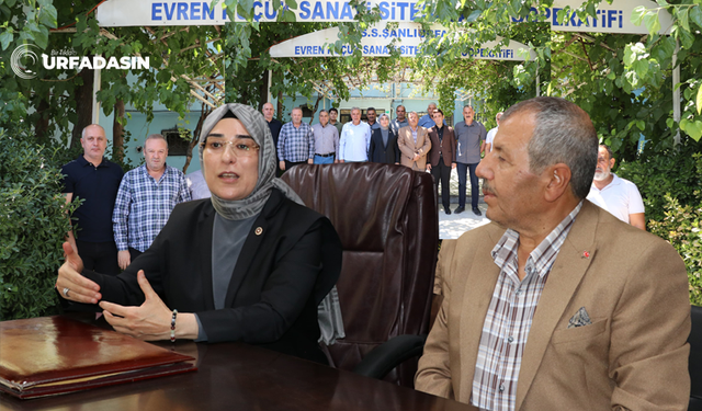 Meclis Tatile Girdi AK Parti'nin Urfalı Vekilleri Sahaya İndi