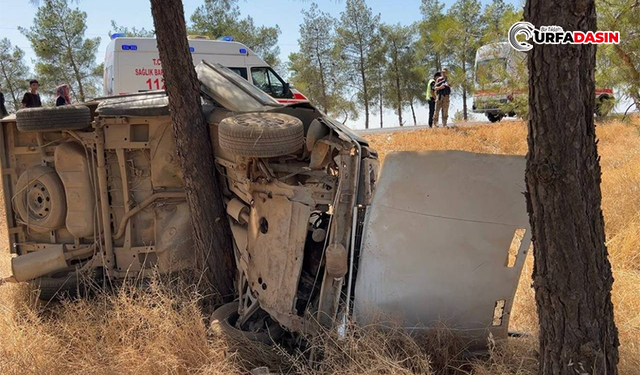 Ceylanpınar'da Kontrolden Çıkan Otomobil Ağaca Çarptı: 2 Yaralı