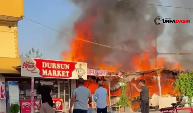 Ceylanpınar'da Dursun Marketteki Yangın Durdurulamadı Küle Döndü