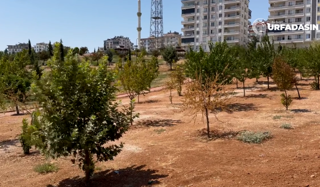 Halfeti’nin En Büyük Parkı Kaderine Terk Edildi