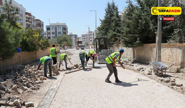 Başkan Canpolat: Üstyapı Çalışmalarımızı Hummalı Şekilde Tamamlıyoruz