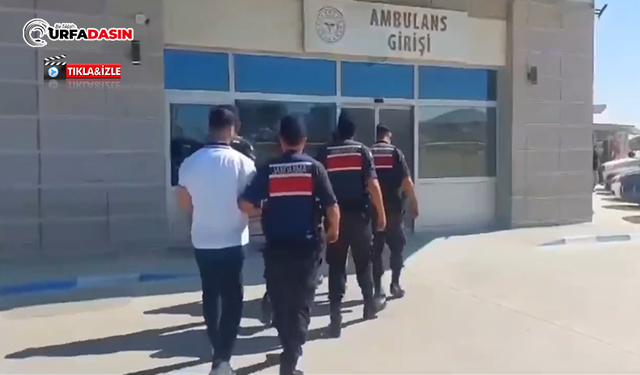 Şanlıurfa'da Organize Suç Örgütü Operasyonu: 15 Gözaltı