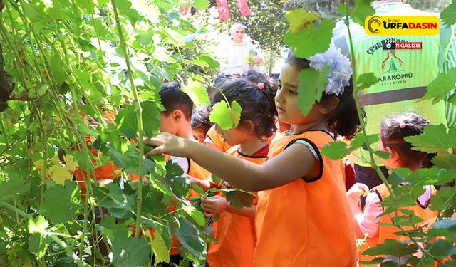 Karaköprü’de Miniklere Doğa Sevgisi Aşılanıyor