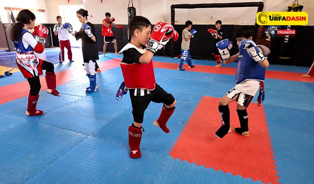 Karaköprü'de Çocuklar İçin Yaz Spor Kursları Sürüyor