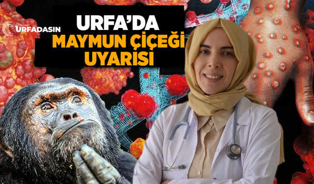 Enfeksiyon Hastalıkları Uzmanı Yüksekkaya'dan Maymun Çiçeği Uyarısı