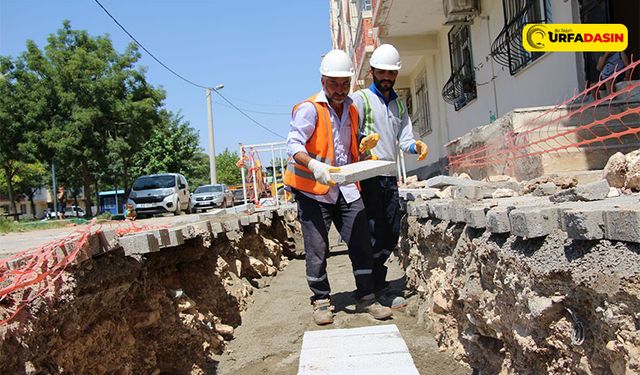 Dicle Elektrik’in Şanlıurfa’daki Yatırım Hamlesi Devam Ediyor